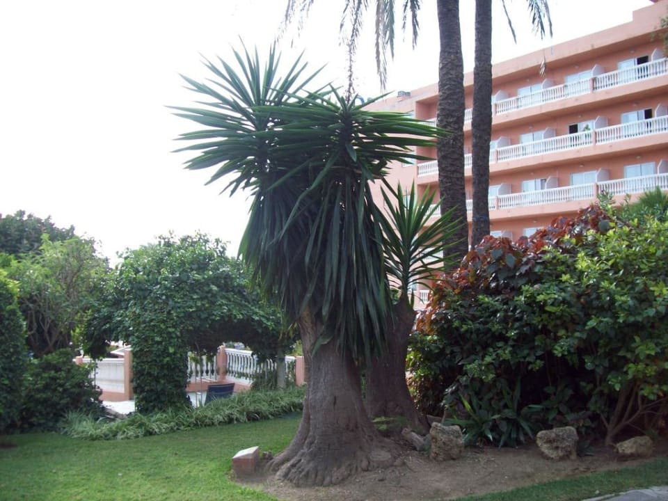 Hotel Siroco Hotel Best Siroco