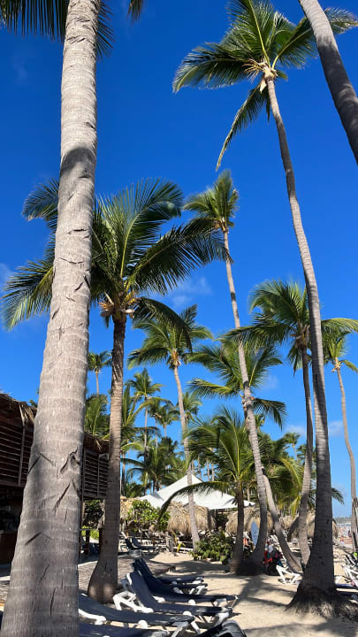 Strand Grand Palladium Select Bávaro Resort & Spa