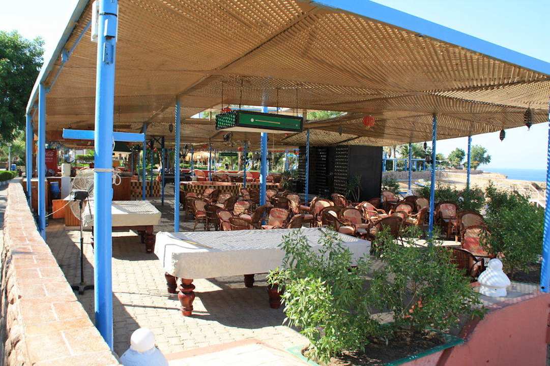 Das Cafe bei Tag Albatros Sharm Resort