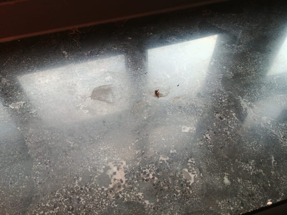 Zimmer Ferienpark Efteling Bosrijk