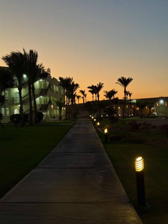 Gartenanlage SUNRISE Royal Makadi Resort