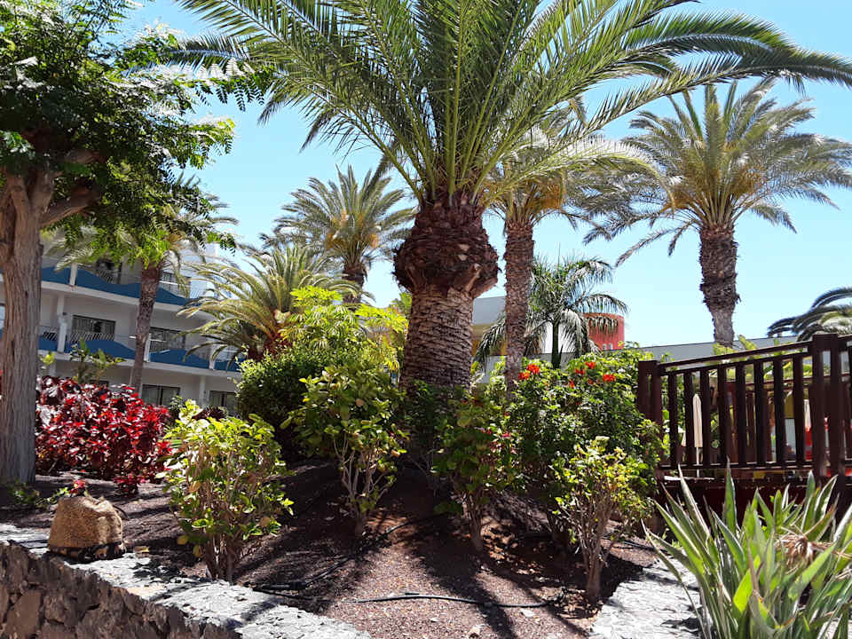 Gartenanlage R2 Pajara Beach