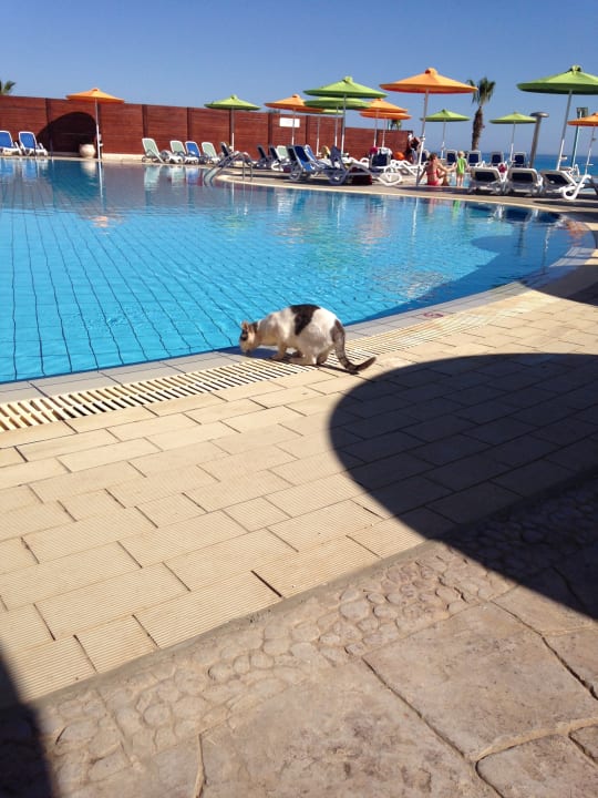 Pool Aktea Beach/Holiday Village