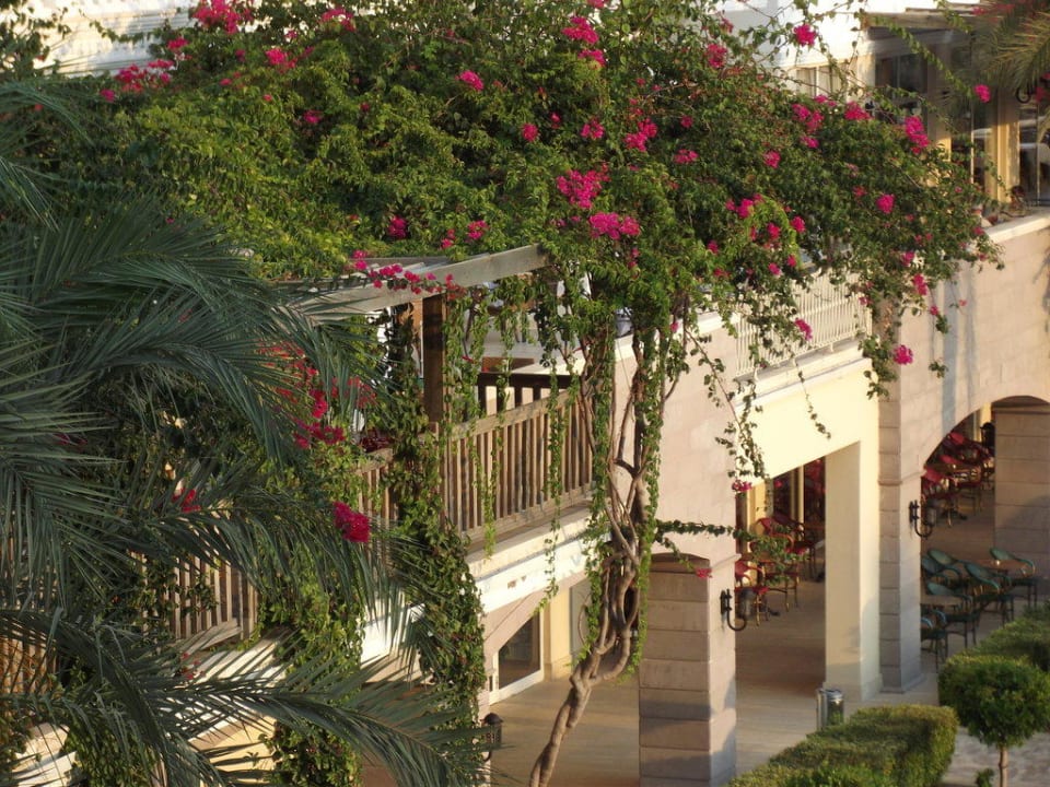 Es grünt so grün Trendy Aspendos Beach Hotel