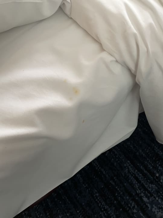 Zimmer Hyatt Regency Amsterdam