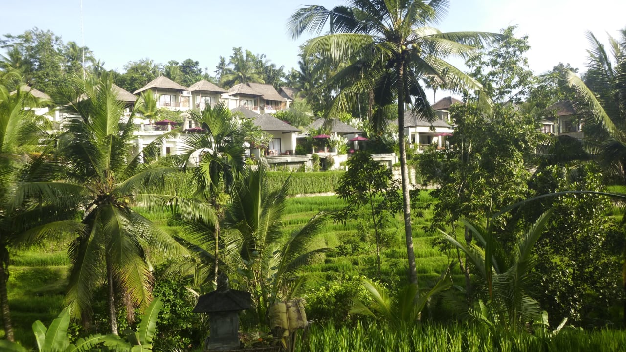 Das Hotel von des gegenüber liegenden Seite aus Puri Sebali Resort