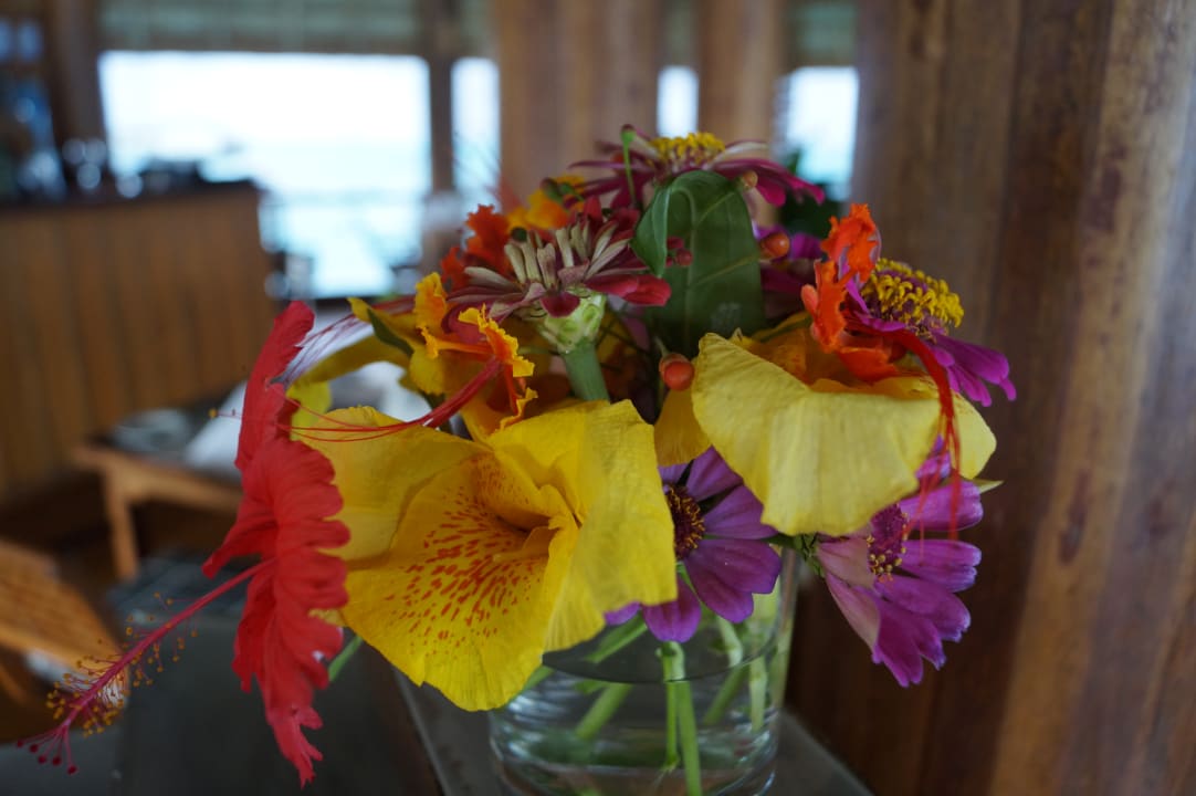 Wunderschönes Ambiente NH Collection Maldives Reethi Resort