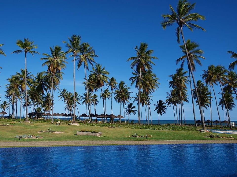 Widok na basen i plażę Iberostar Waves Bahia