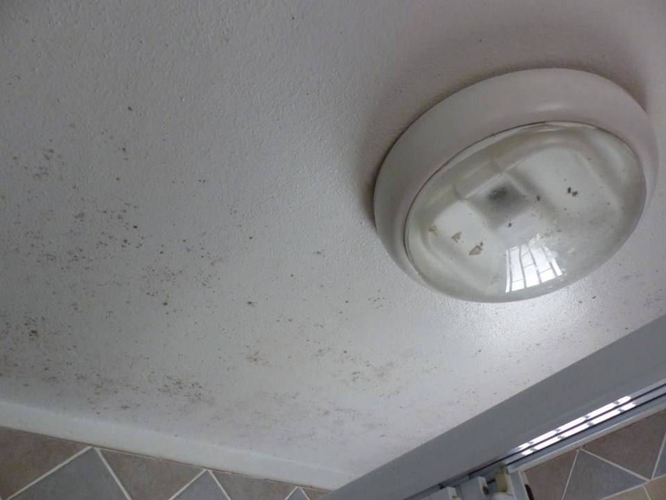 Bad-WC mit Schimmeldecke Giants Castle Camp