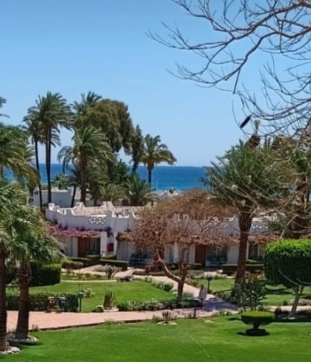Gartenanlage Shams Safaga Resort
