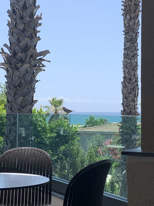 Gastro Bella Resort & Spa