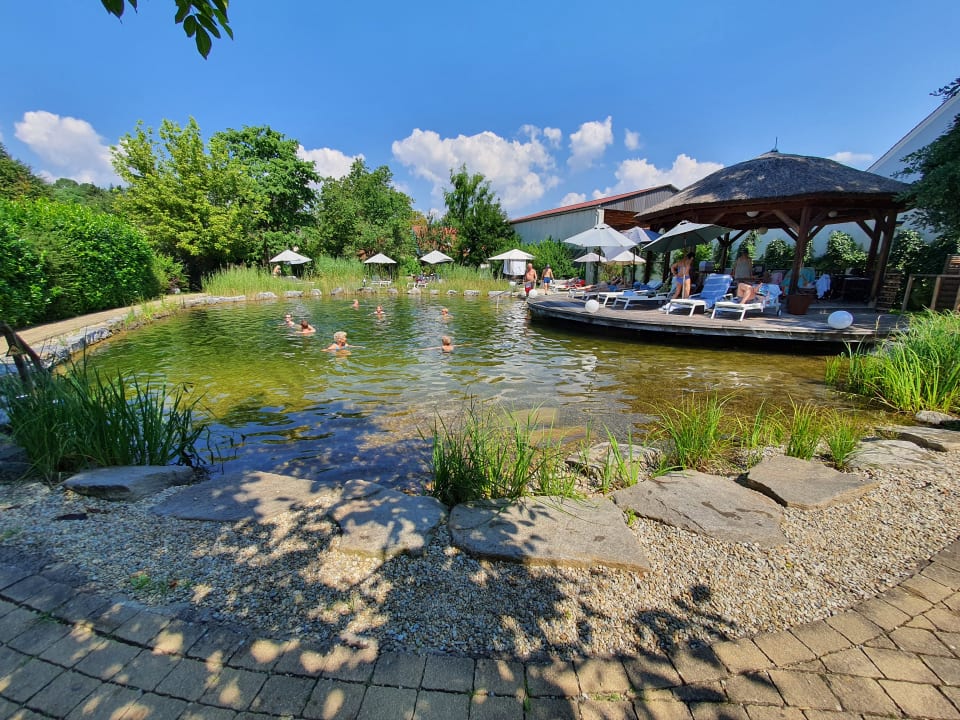 Pool Garten-Hotel Ochensberger