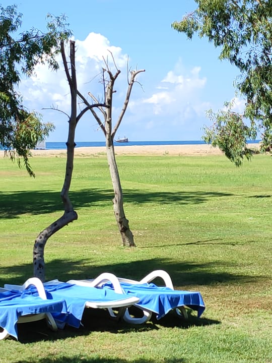 Gartenanlage TUI KIDS CLUB Felicia Village
