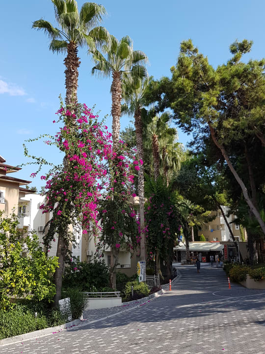 Gartenanlage Club Sidelya Hotel