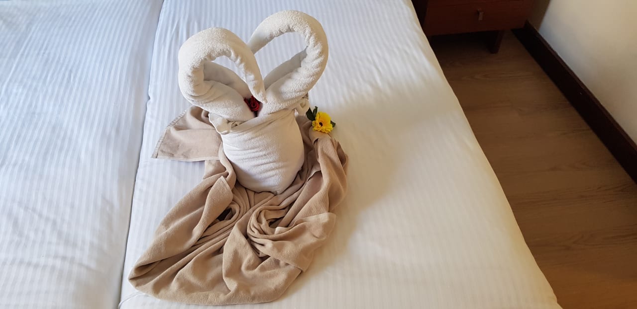 Zimmer Side Star Beach