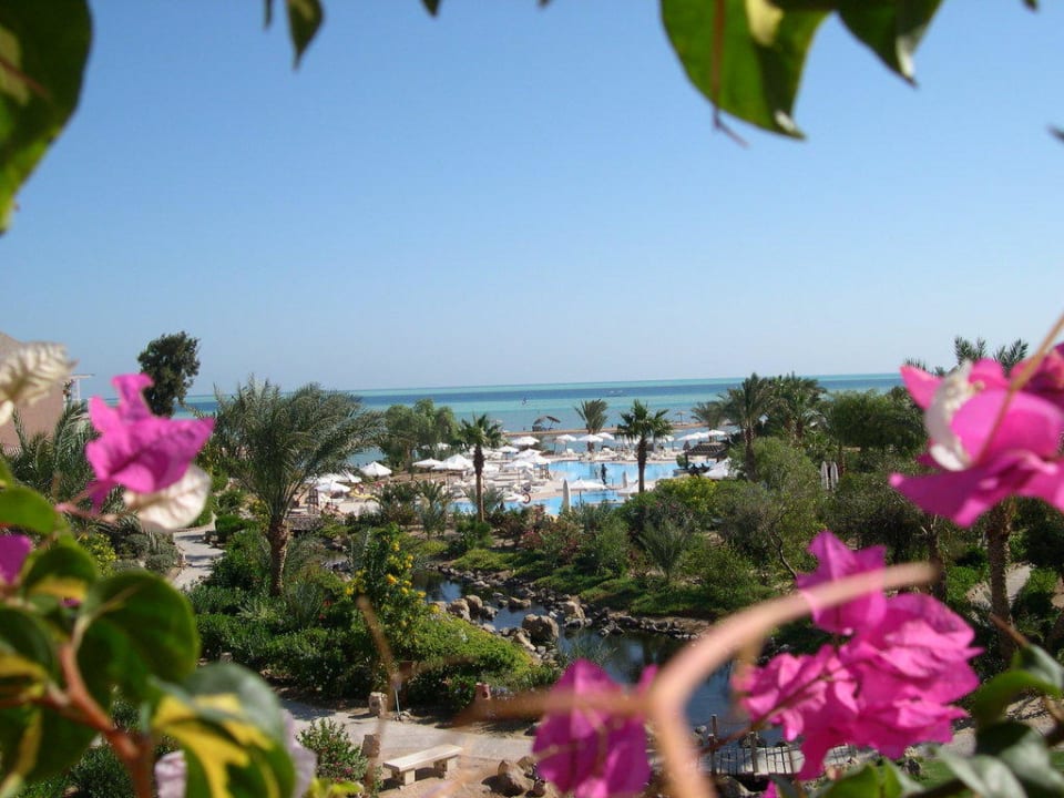 Blick von der Rezeption Mövenpick Resort & Spa El Gouna