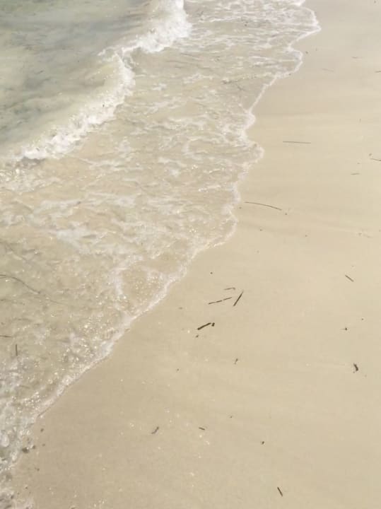 Strand Hotel El Mouradi Djerba Menzel