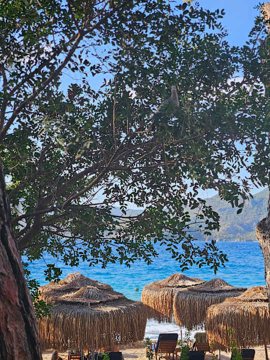 Ausblick Liberty Lykia Adults Only