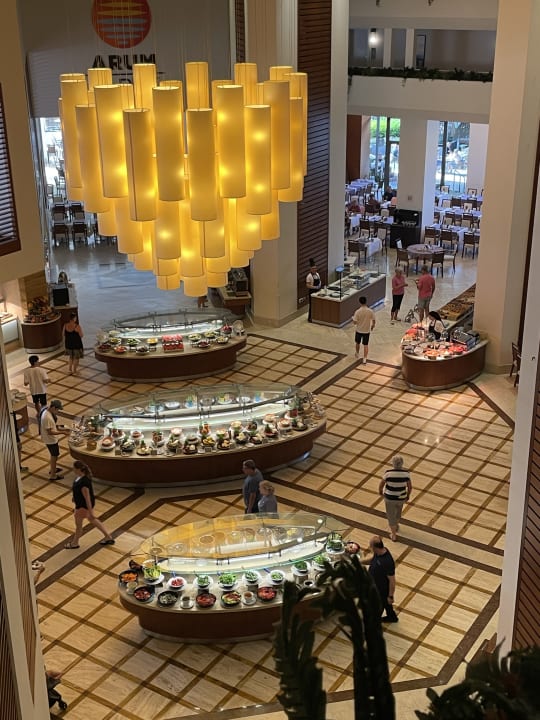 Gastro Arum Barut Collection