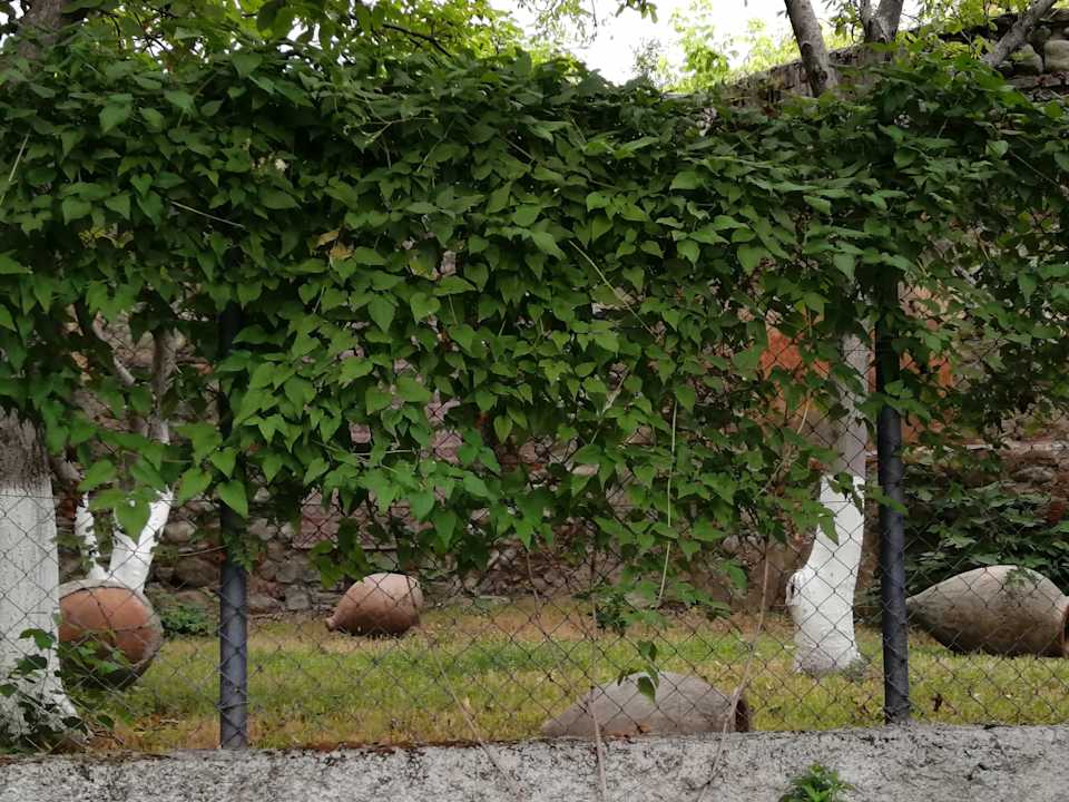 Gartenanlage Family Hotel Lago