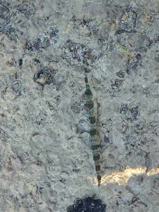 Strand Three Corners Sea Beach Resort