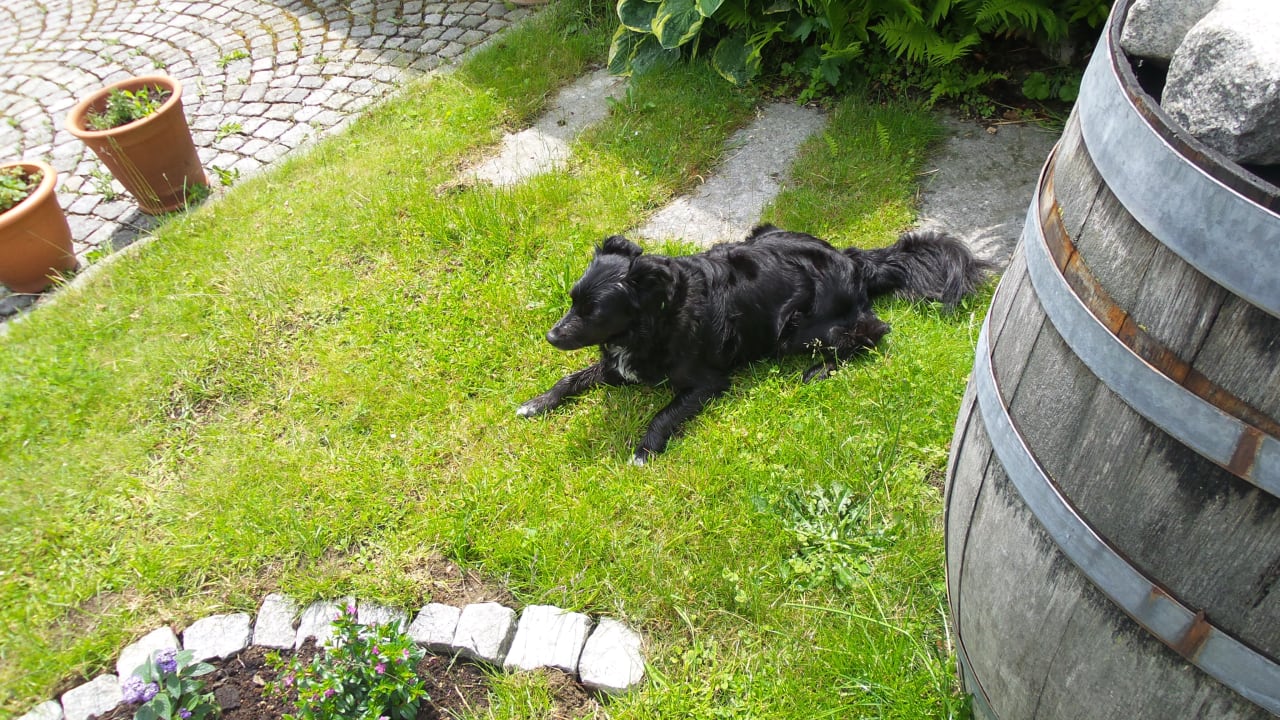 Gartenanlage Bärnsteinhof Gasthof mit Herz