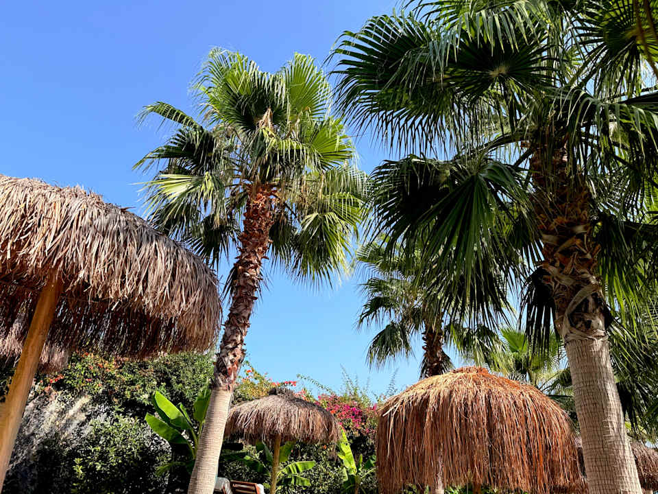 Außenansicht Rubi Platinum Sign