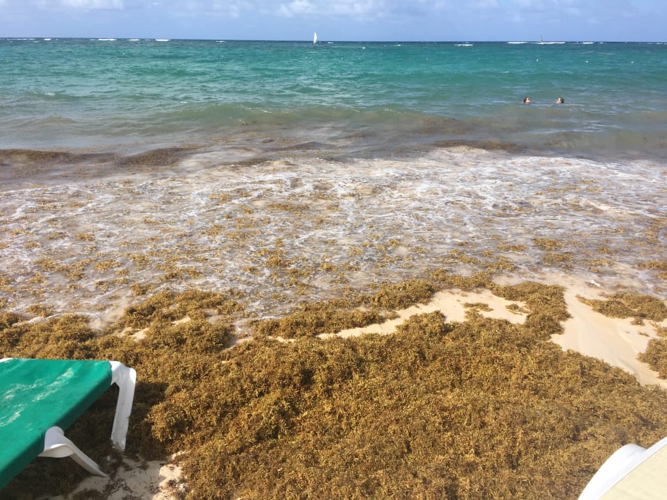 Strand Hotel Riu Bambu