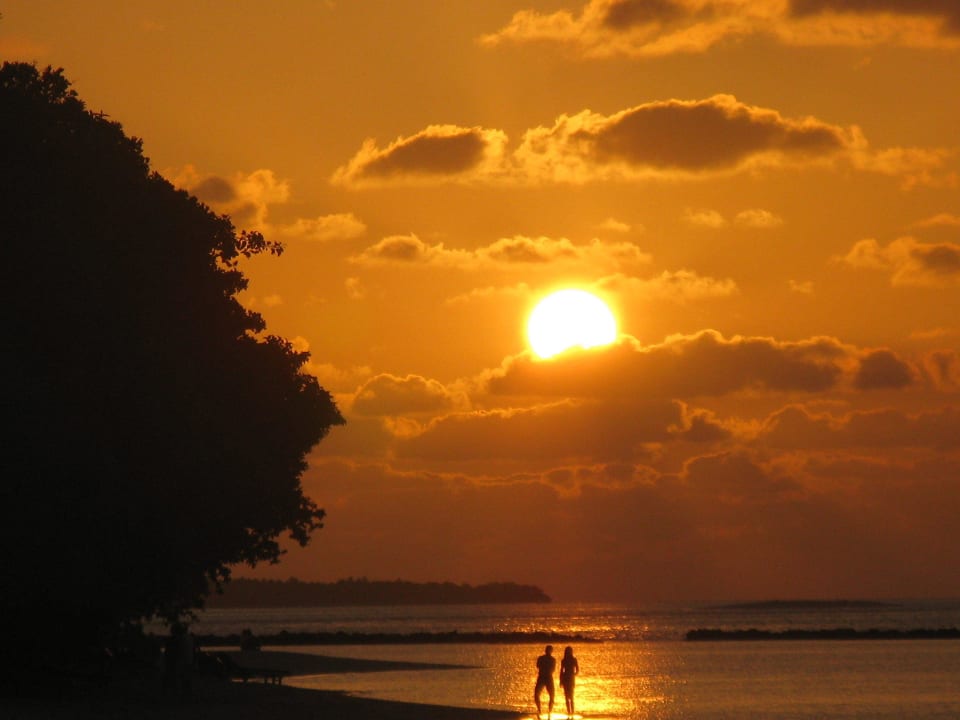 Mal was Schönes  Royal Island