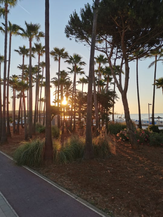 Gartenanlage Hipotels Mediterraneo Club