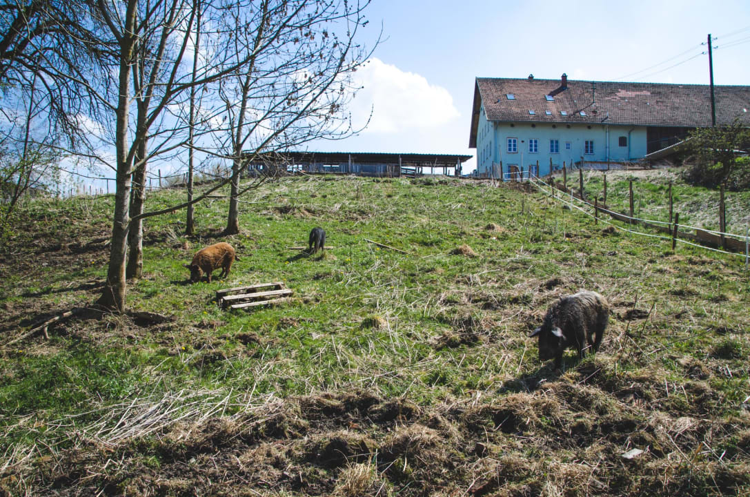 Außenansicht Schochenhof - Ferienzimmer