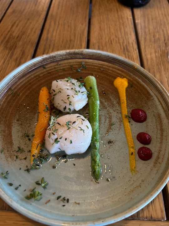 Gastro Rubi Platinum Sign