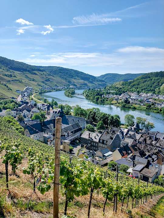 Ausblick Hotel Café im Hamm