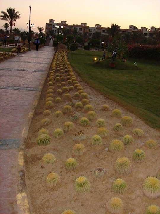 Gartenanlage Pickalbatros Dana Beach Resort - Hurghada