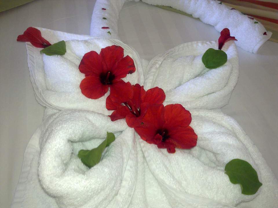 Chambre rangé Serenity Alpha Beach