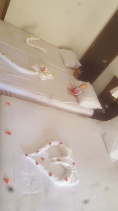 Zimmer Stella Garden Resort & Spa, Makadi Bay