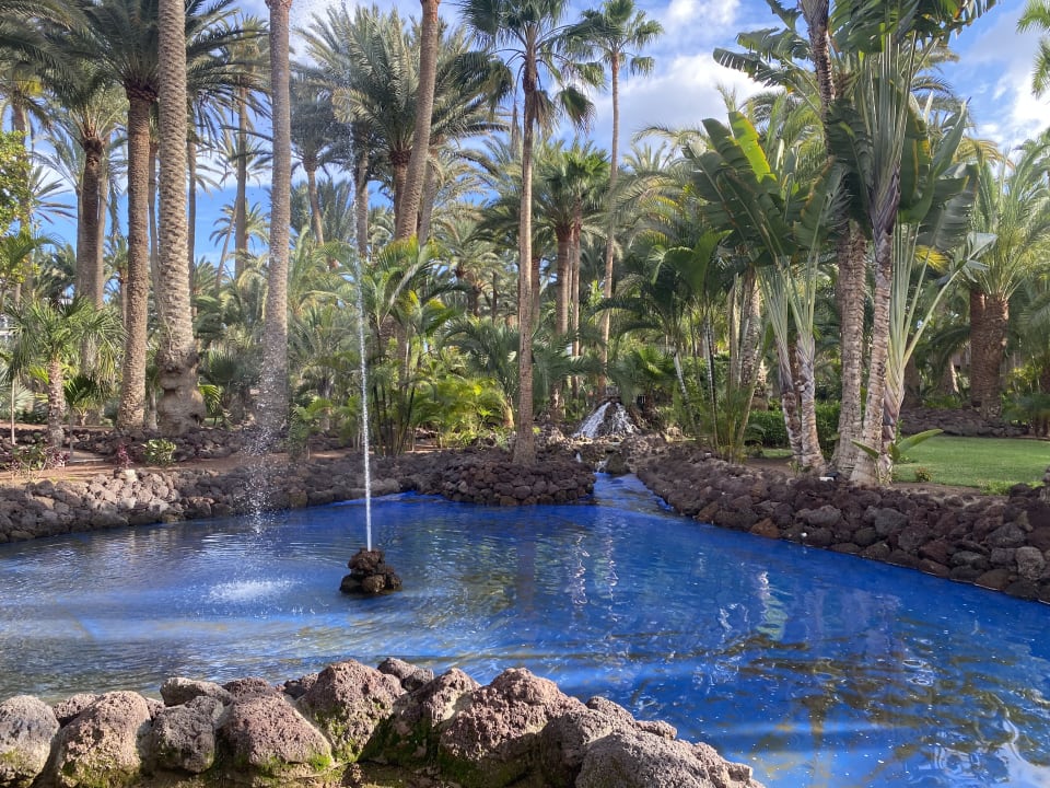 Gartenanlage Hotel Riu Palace Oasis
