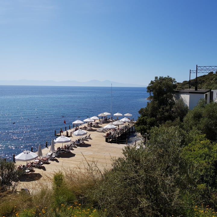 Ausblick Paloma Pasha