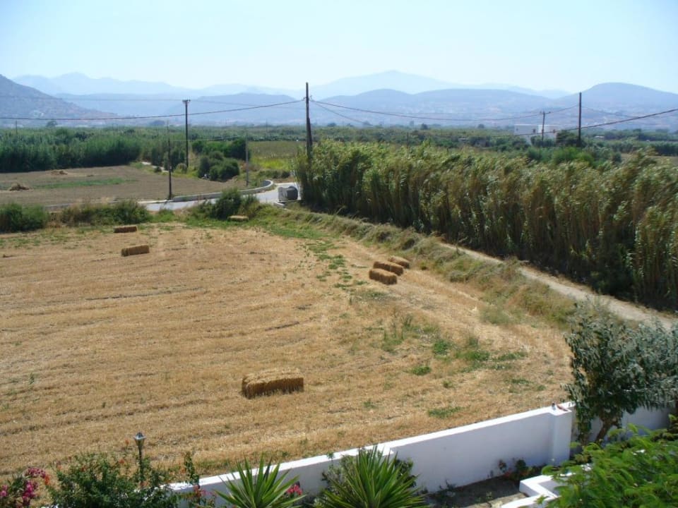 Hotel Fikas Hotel Fikas