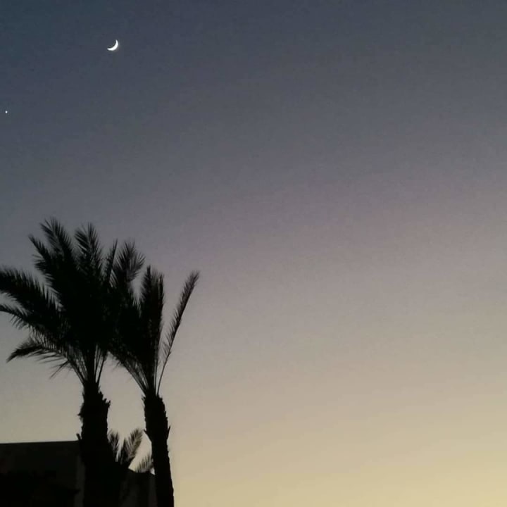 Ausblick Pickalbatros Palace Hotel-Port Ghalib