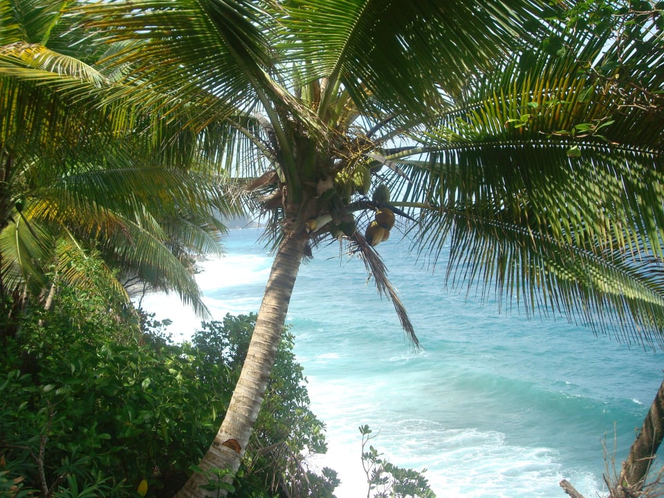 Relaxen am Ocean Cabana (im Resort) Hotel Jungle Bay Resort & Spa