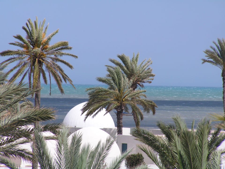 Blick vom Balkon Hotel El Mouradi Djerba Menzel