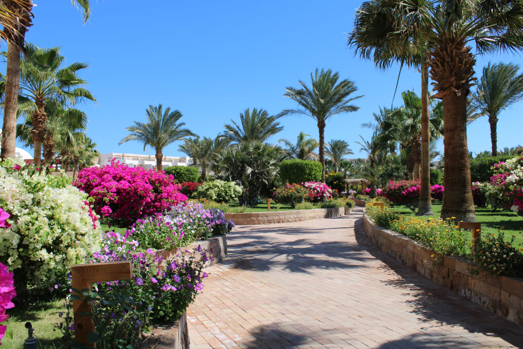 Gartenanlage Fort Arabesque Resort, Spa & Villas