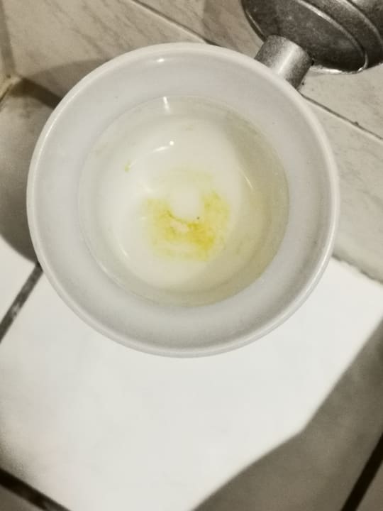 Zimmer Villa Oranien