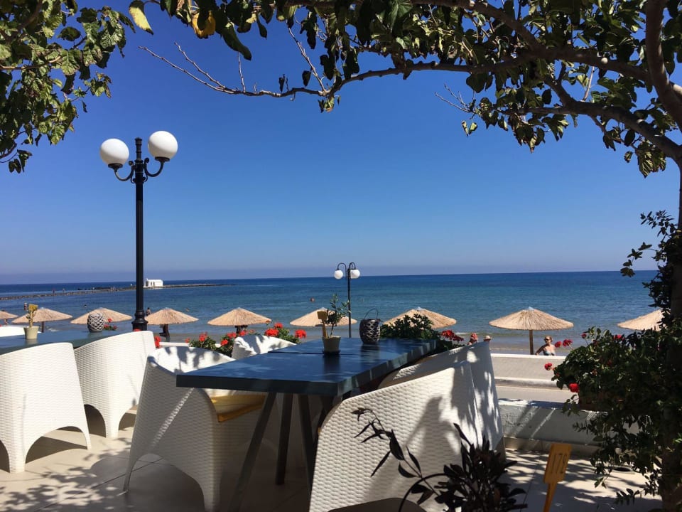 Seaside Harmony Boutique Resort