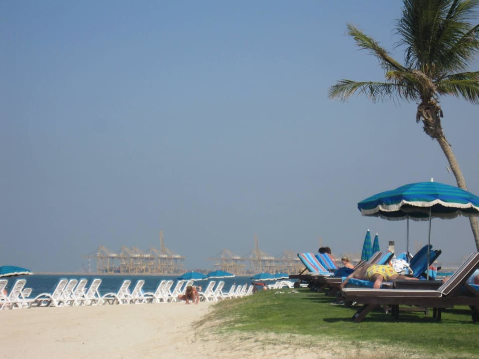 Blick auf den Freihandelshafen JA Palm Tree Court