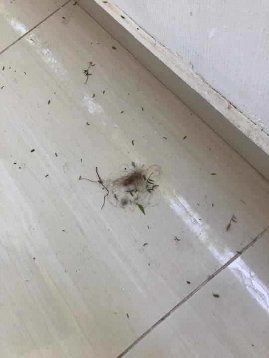 Zimmer Anavadia Hotel