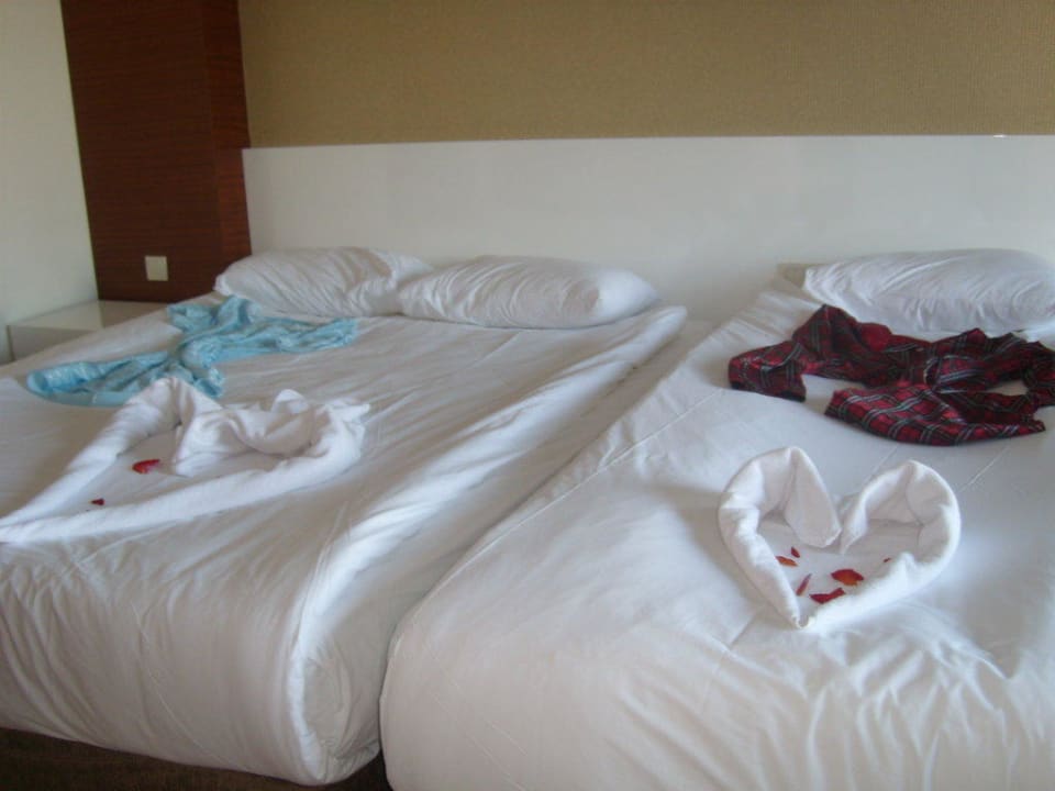 Zimmer Seaden Sea World Resort & Spa