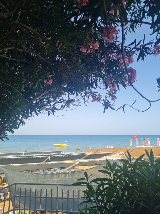 Ausblick Can Garden Resort