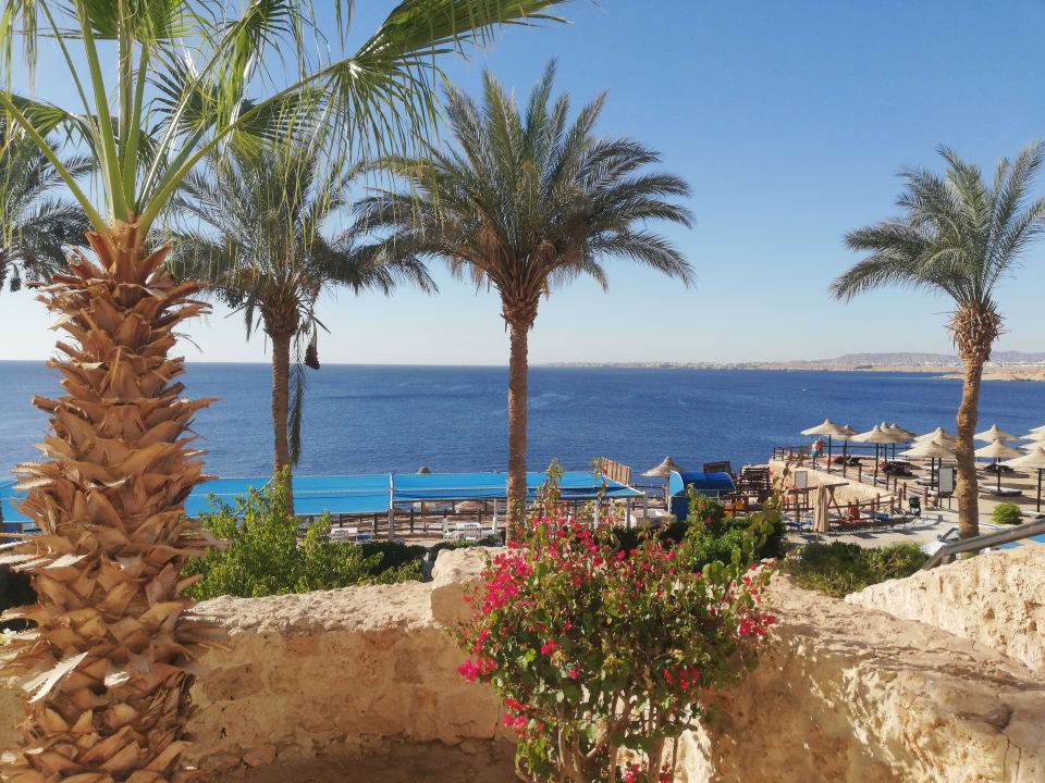 Ausblick Sharm Plaza